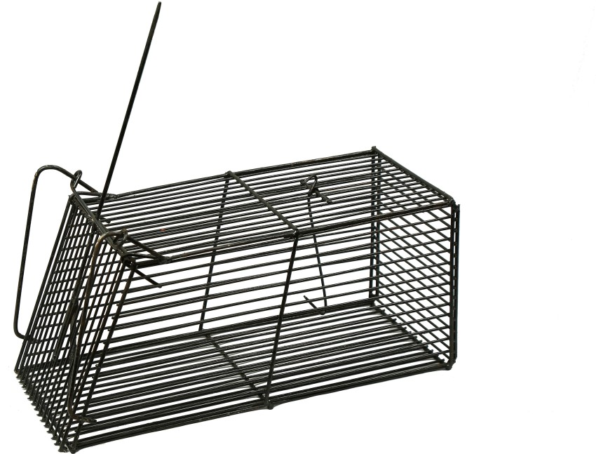 REGAL Rat trap cage Live Trap Price in India - Buy REGAL Rat trap cage Live  Trap online at
