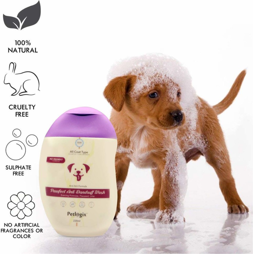 Petlogix shampoo hot sale