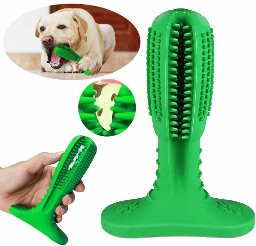 Dog tooth brushing stick online