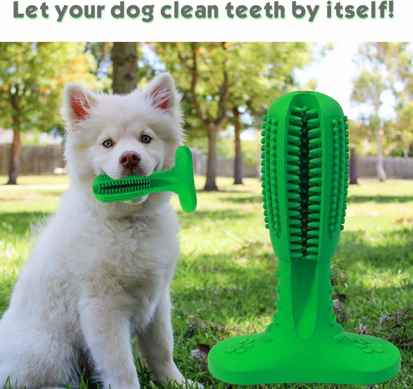 Dog teeth brushing online toy