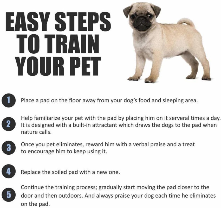 How to potty pad train sales a dog