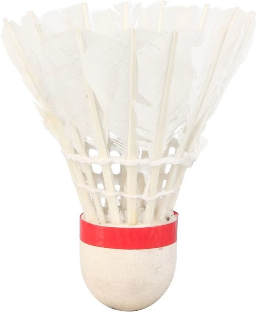 AST Feather Shuttlecocks pack of 20 feather shuttlecock Feather Shuttle - White - Buy AST Feather Shuttlecocks pack of 20 feather shuttlecock Feather Shuttle