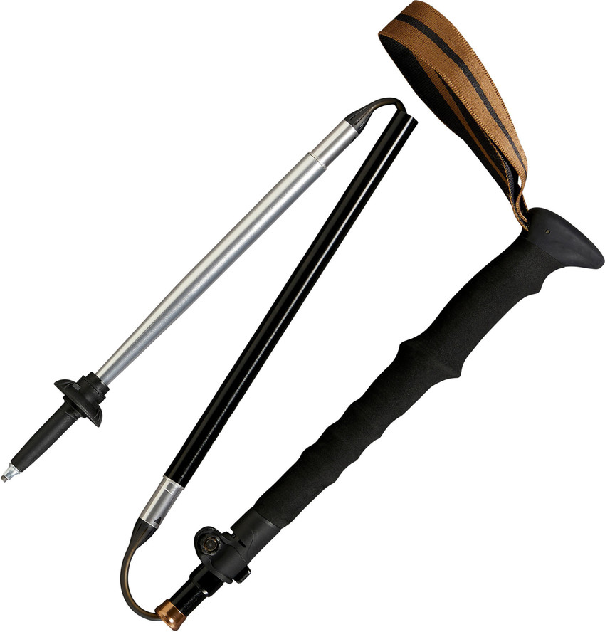 Decathlon trekking pole shop