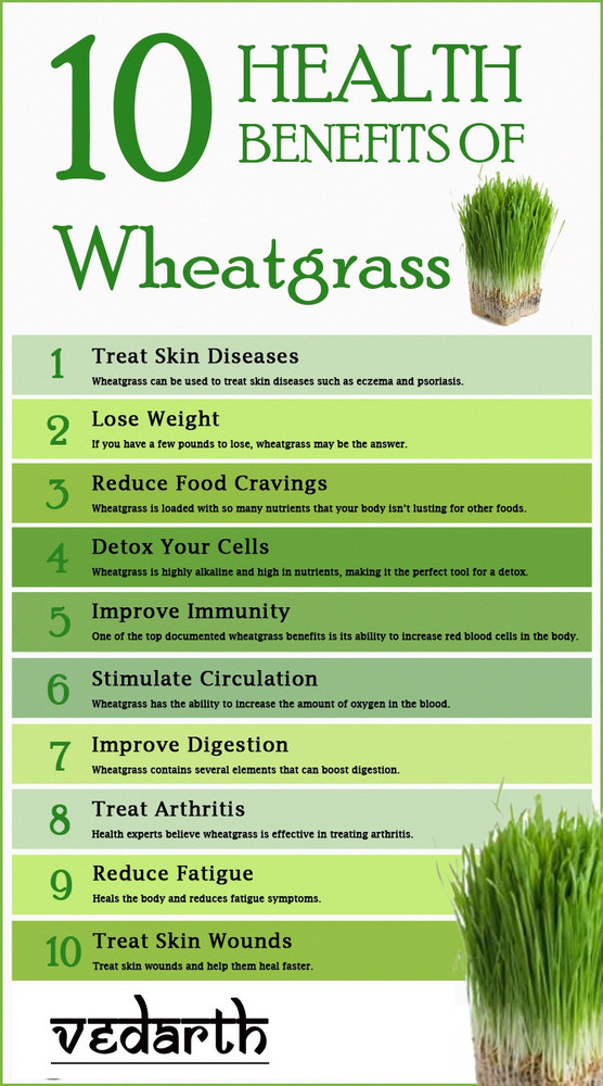 Organic wheatgrass powder benefits store