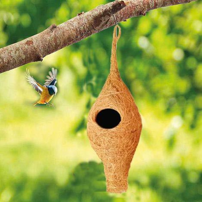 LIVEONCE Natural Bird NEST-pack of 2 Bird House Price in India - Buy  LIVEONCE Natural Bird NEST-pack of 2 Bird House online at