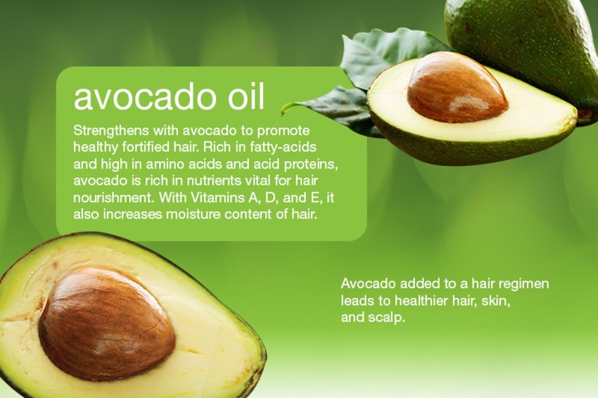  Avocado Oil For Hair and Skin - 100% Pure Avocado Oil for Skin  and Nail Care plus Dry Hair Treatment and Facial Oil Moisturizer - Natural  Hair Oil and Carrier