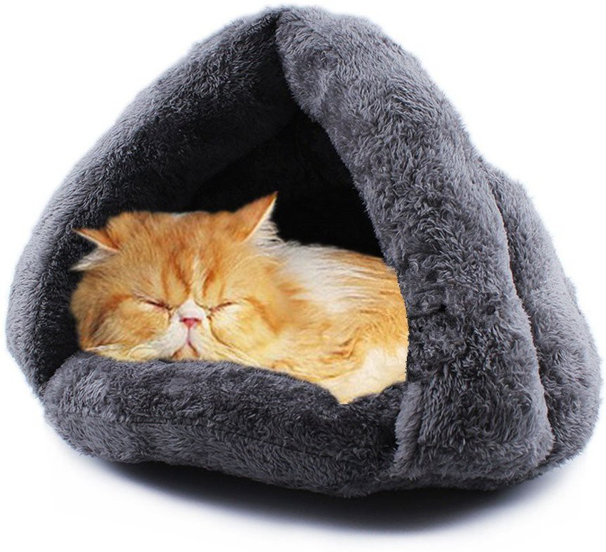 Cat in sleeping bag online