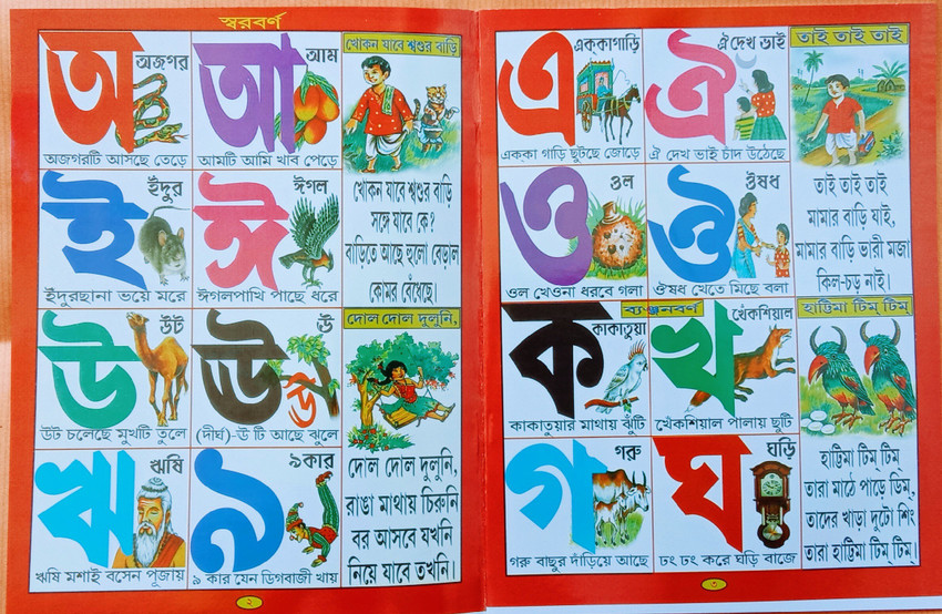 First Words BENGALI Version English Bilingual Cards 48 -  Sweden