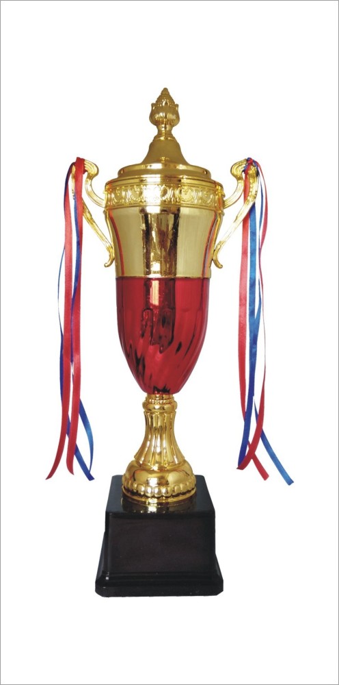 Plastic Golden Award Cup, Size (inches): 12 at Rs 120/piece in Meerut