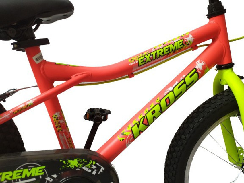 Fat sales bike extreme
