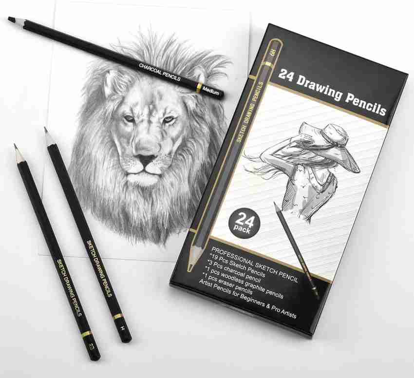 https://rukminim2.flixcart.com/image/850/1000/khwbde80-0/graphite-pencil/y/l/q/19-sketch-drawing-pencils-3-charcoal-pencils-1-graphite-stick-original-imafxtcg6aczygmh.jpeg?q=20