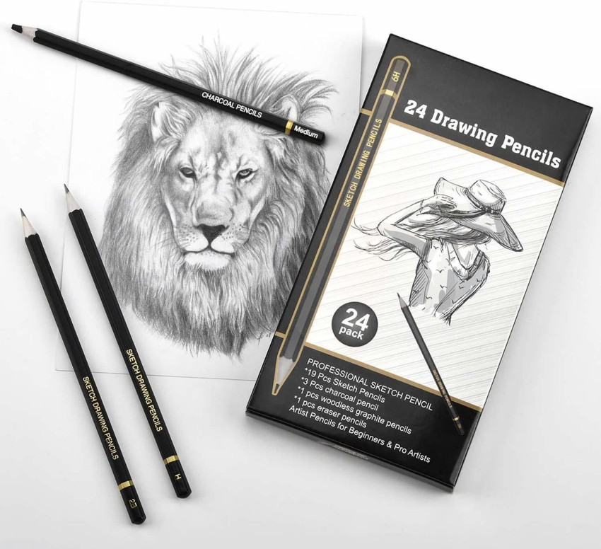 https://rukminim2.flixcart.com/image/850/1000/khwbde80-0/graphite-pencil/y/l/q/19-sketch-drawing-pencils-3-charcoal-pencils-1-graphite-stick-original-imafxtcg6aczygmh.jpeg?q=90