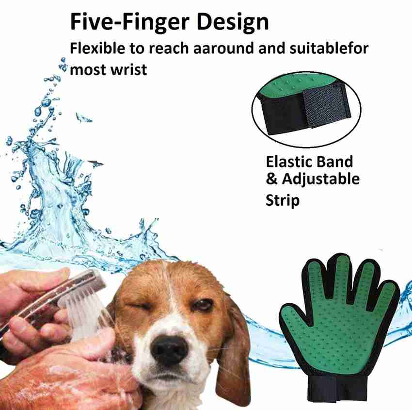 Hound glove dog grooming shop