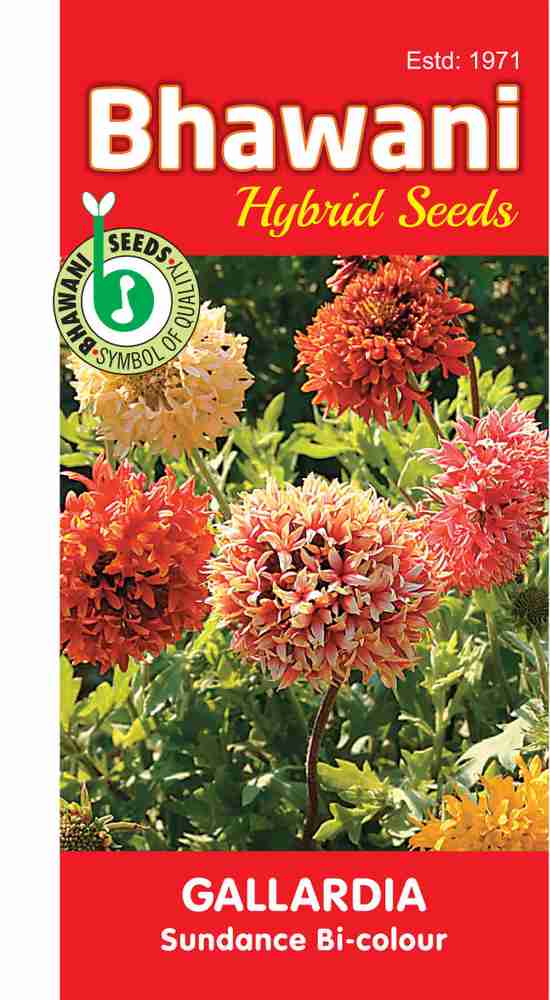 Bhawaniseeds Gaillardia Sundance Bicolor Blanket Flower Seed