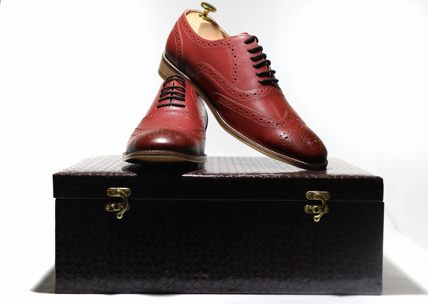 Cat derby shoes 2025