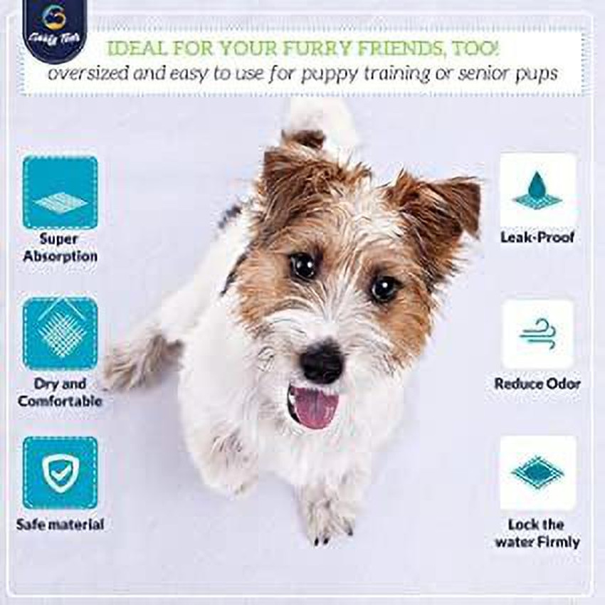 Puppy sales pad too
