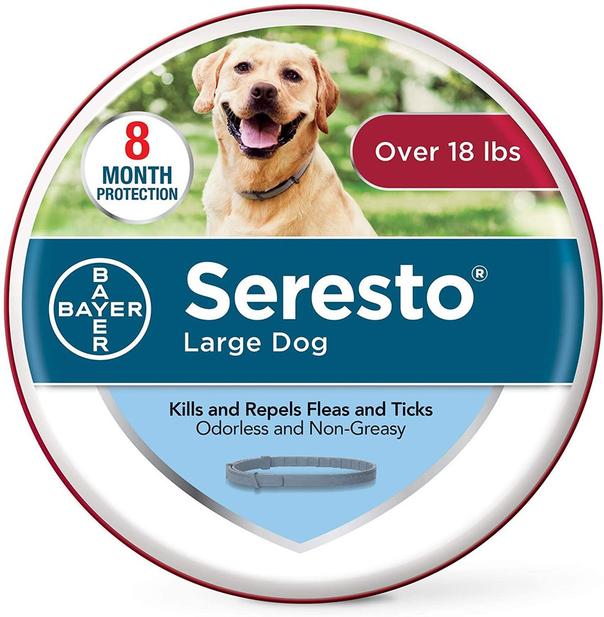 Bayer sales dog collar