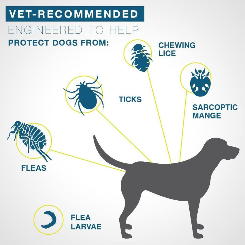 Dog tick 2025 repellent collar