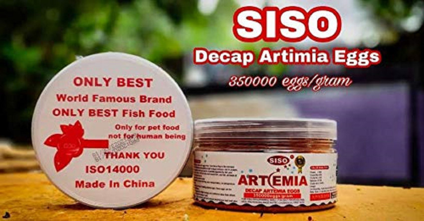 Artemia for betta fry hotsell