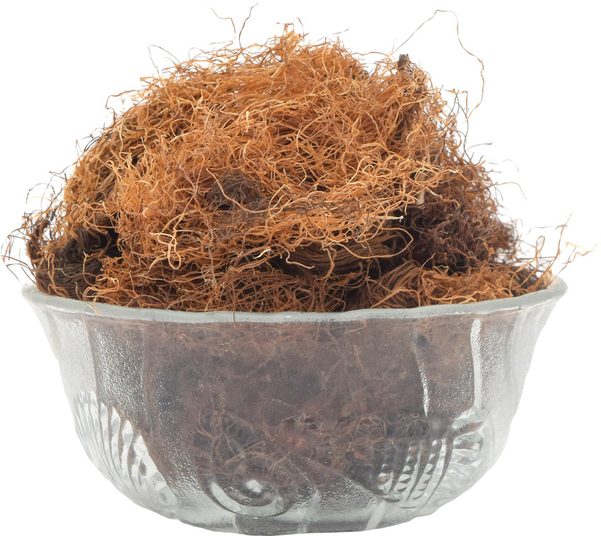 Details more than 138 corn hair benefits best tnbvietnam.edu.vn