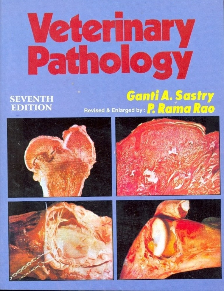 Veterinary Pathology: Buy Veterinary Pathology by Sastry Ganti A