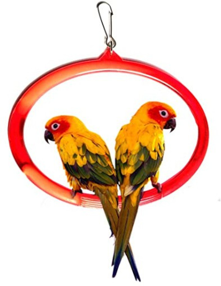 Parrot swing on sale precio