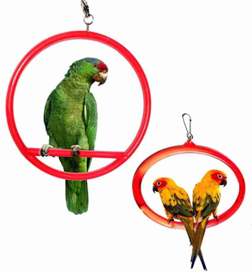 Parrot store swing precio