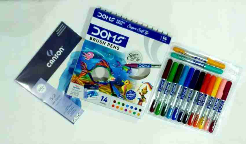 Multicolor Plastic Doms Brush Pens