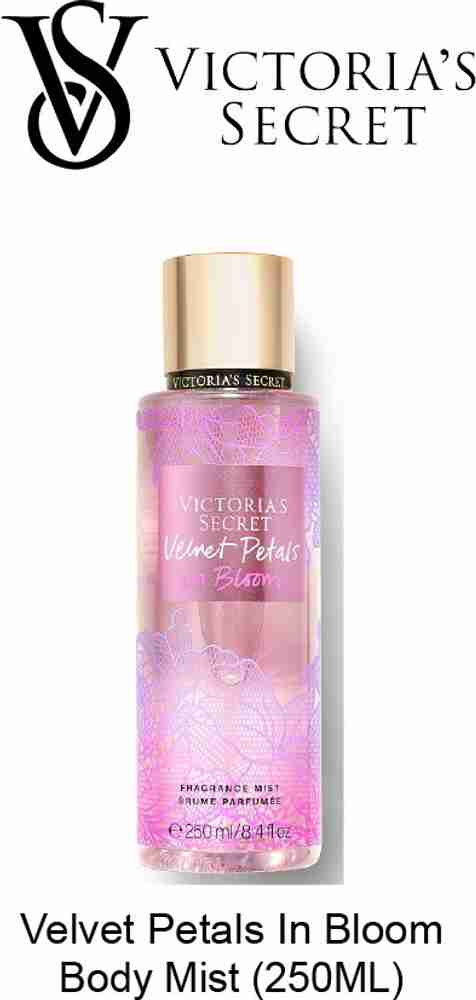 Velvet petals in shop bloom victoria secret