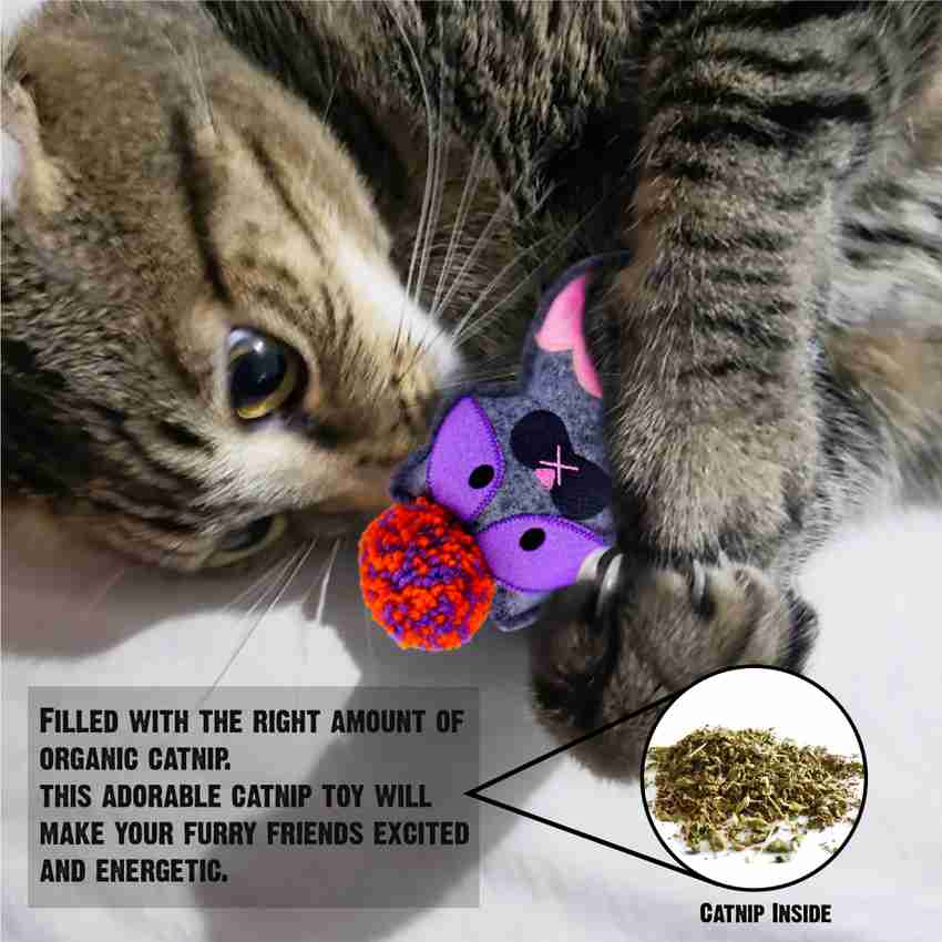 Cat discount nylon shorts