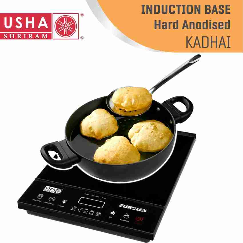 Usha eurolex induction cooker cheap