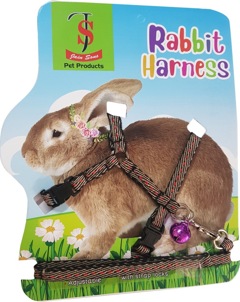 Jainsons Pet Products Rabbit Harness Leash Price in India Buy