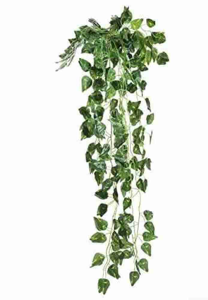 Artificial Plant Vines Wall Hanging Rattan Leaves – Floral