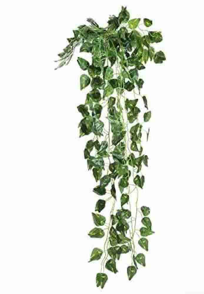 Artificial Plant Vines Wall Hanging Rattan Leaves – Floral Supplies Store