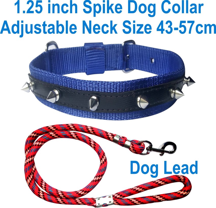 BODY BUILDING Dog Belt Combo of 1.25 inch Blue Spike Collar with Red Lead Specially for Large Breeds Dog Collar Leash Price in India Buy BODY BUILDING Dog Belt Combo