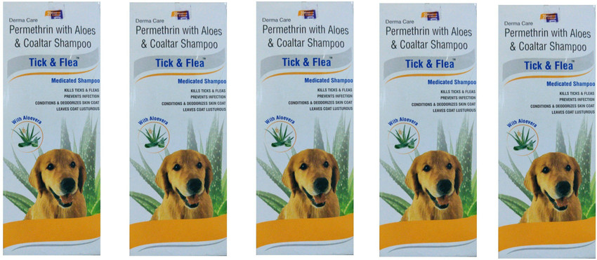 Picture of Will Aloe Vera Kill Fleas On Dogs