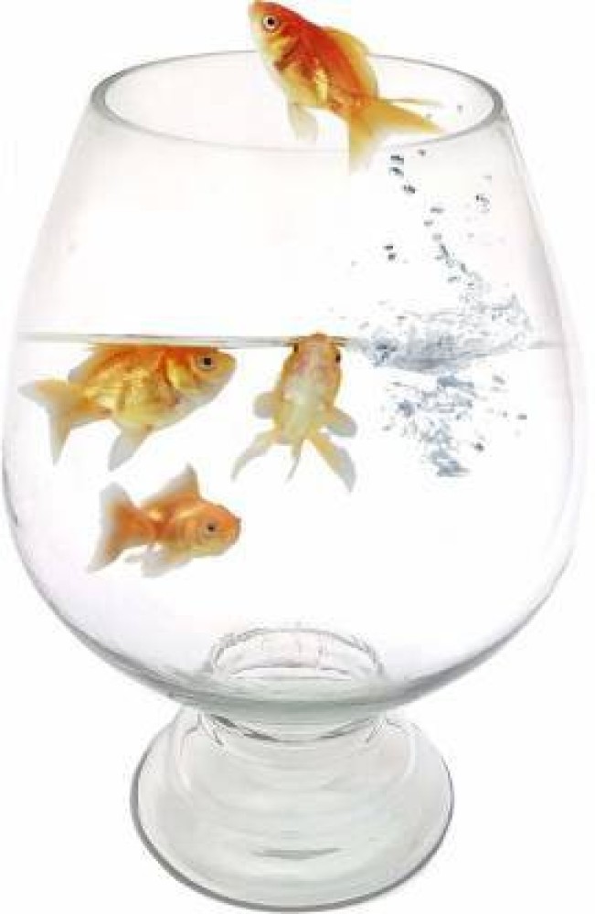 goblet Fish Bowl Glass Round Ends Aquarium Tank Price in India