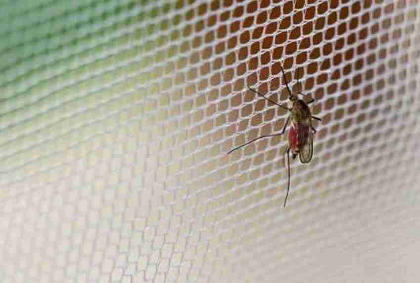 Rathna Mosquito Nets