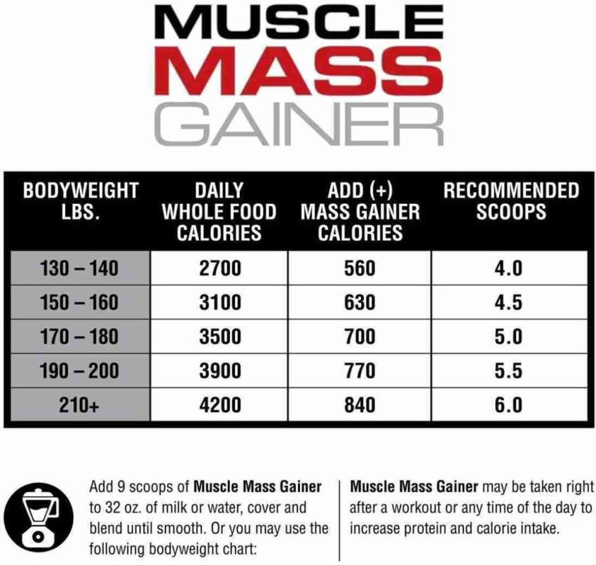 LABRADA MUSCLE Mass Gainer Weight Gainers/Mass Gainers (5.44 kg