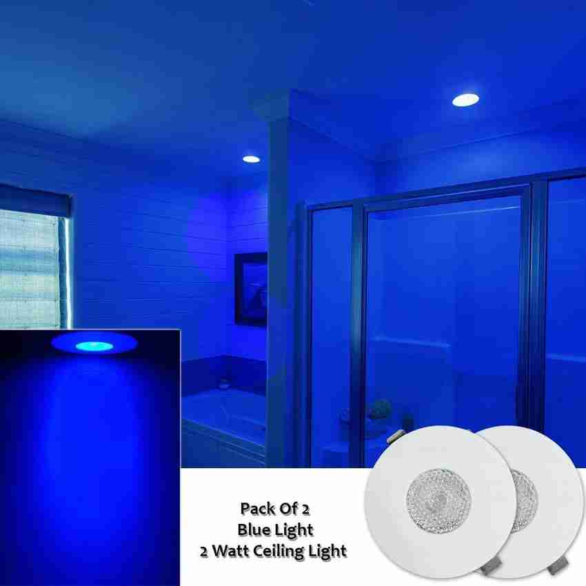 Blue roof lights discount