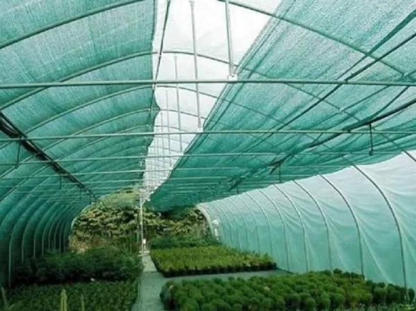 MAK 50% Green Shade Net 3m x 15m , Multi-Purpose Greenhouse Garden Nursery  Shading Cloth - Blocks Sun Light Dust, Protect Flowers and Plants Portable  Green House , Greenhouse UV Stabilized Net