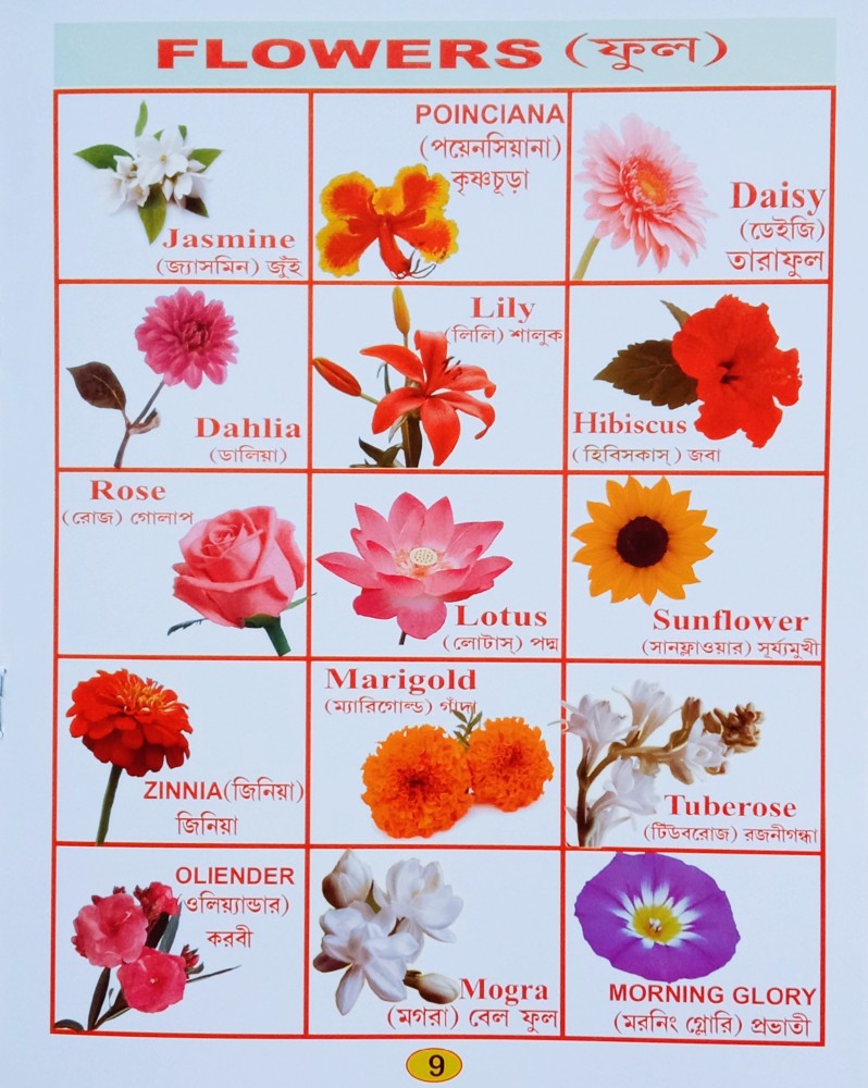 Flowers Word Book For Nursery Kid S