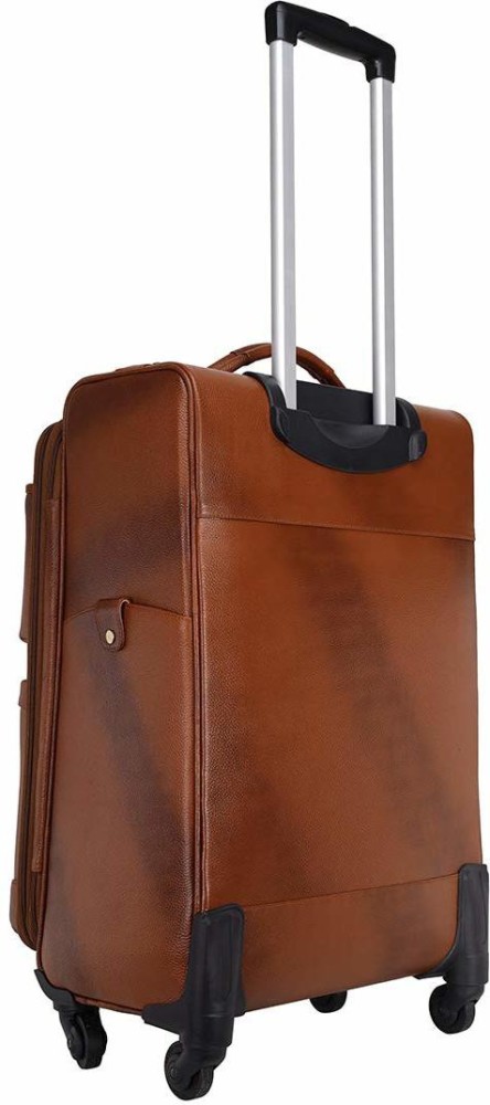 Trolley Bags and Luggage for Men