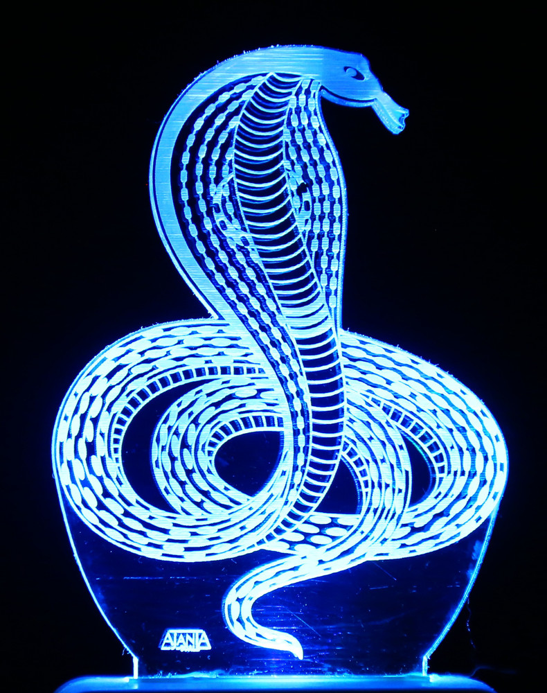 Light snake top