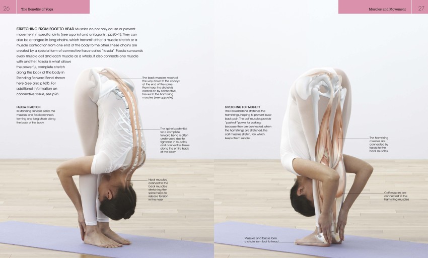 Benefits of Dhanurasana (Bow Pose) and How to Do it By Dr. Ankit Sankhe -  PharmEasy Blog
