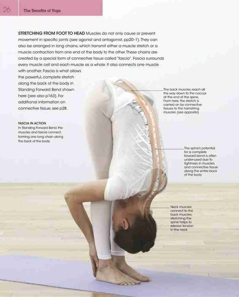 Yoga: Your Home Practice Companion - by Sivananda Yoga Vedanta Centre  (Paperback)