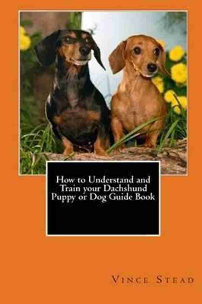 How to train your best sale dachshund puppy