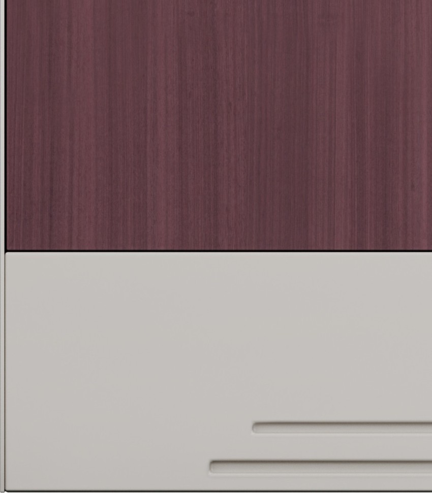 GODREJ INTERIO Slimline Fantasia 2 Door Steel Almirah with 4 Shelves in  Dark Wood : : Home & Kitchen