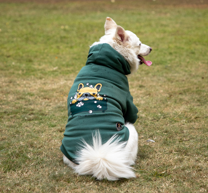 PET SNUGS Hoodie for Dog Price in India - Buy PET SNUGS Hoodie for