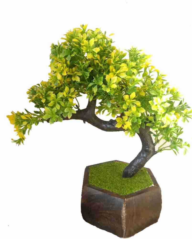 Buy Dn Enterprises Green Bonsai Artificial Tree Plant With Pot For Home  Decor Mini Decorative Office Indoor Décor Online at Best Prices in India -  JioMart.